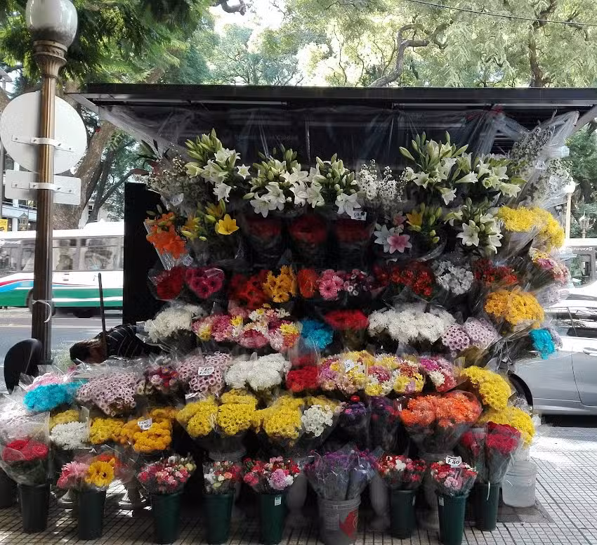 Floreria Plaza San Mart&iacute;n