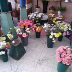 Florer&iacute;a Primavera