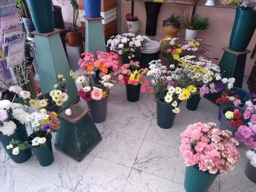 Florer&iacute;a Primavera