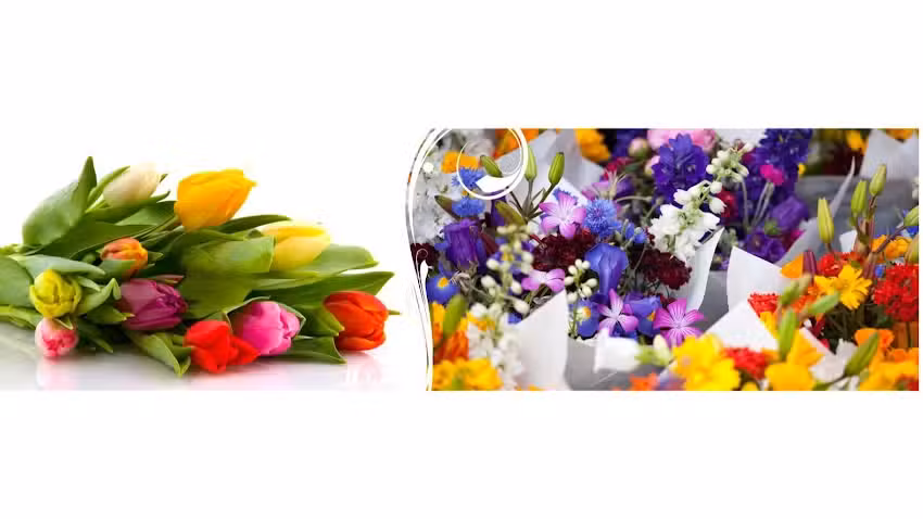 FLORERIA PRIMAVERA