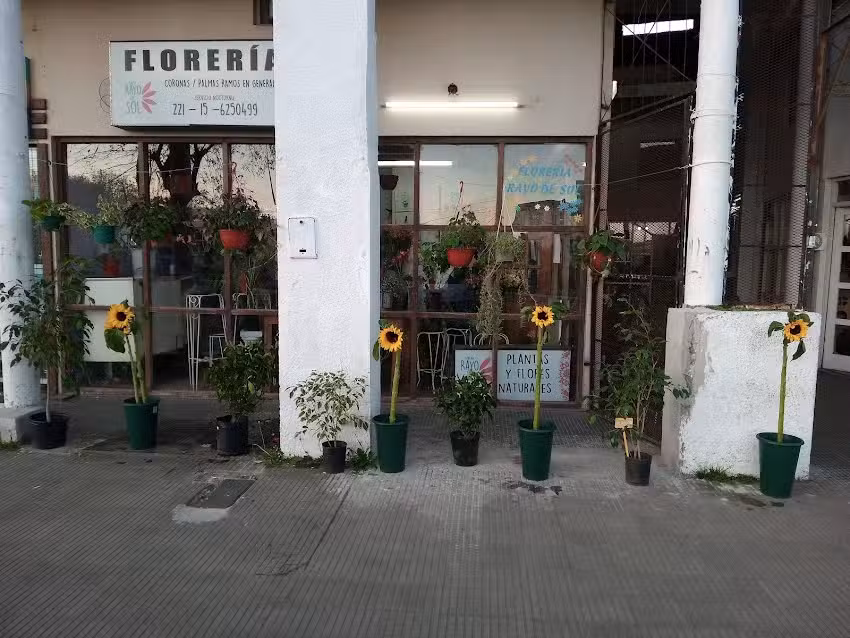 Floreria rayo de sol