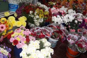 Florer&iacute;a Roca