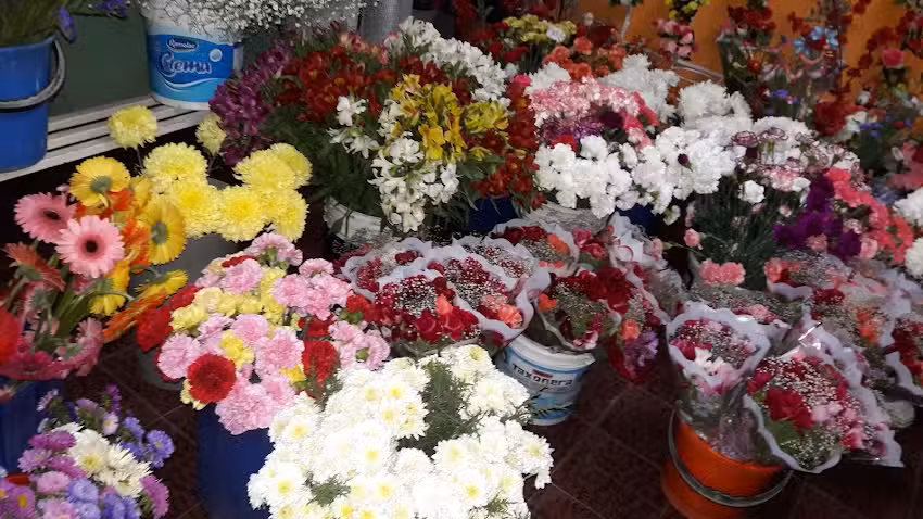 Florer&iacute;a Roca