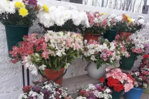 Florería San Cayetano