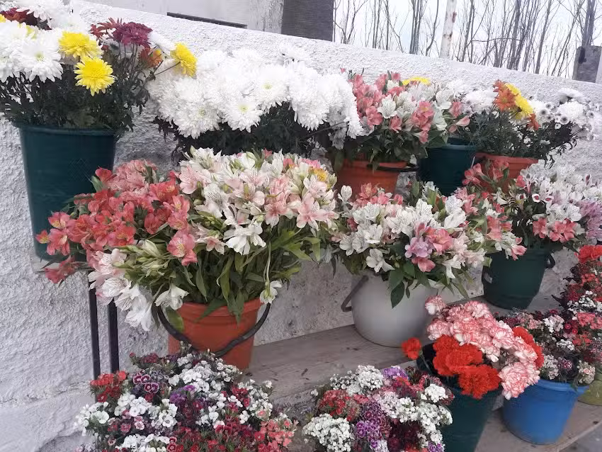 Florer&iacute;a San Cayetano