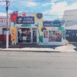 Florer&iacute;a San Martin