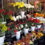 Florer&iacute;a Santa Rita