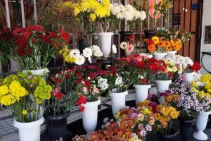 Florer&iacute;a Santa Rita