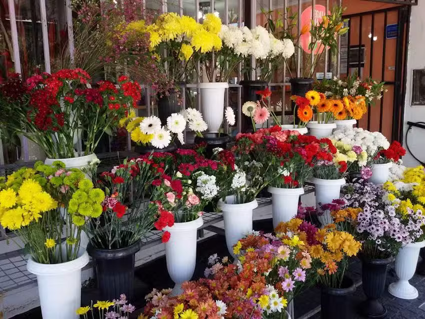Florer&iacute;a Santa Rita