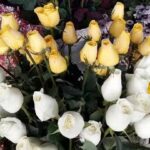 Florer&iacute;a Santa Rita