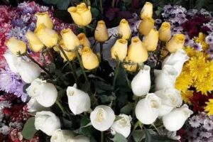 Florería Santa Rita