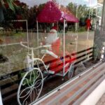 Floreria Santa Teresita