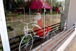 Floreria Santa Teresita