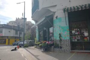 Floreria Santa Teresita