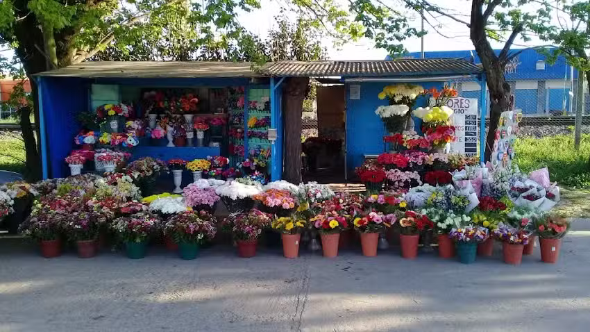 Florer&iacute;a Sergio