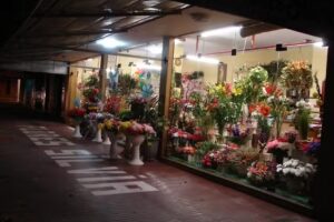 Florer&iacute;a Silvia