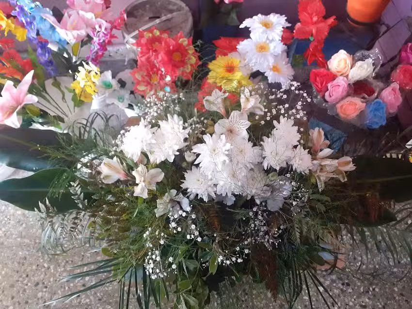 Floreria Sol