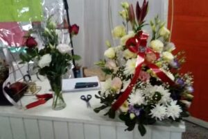 Florer&iacute;a Stella Marys de Jorge Velardez