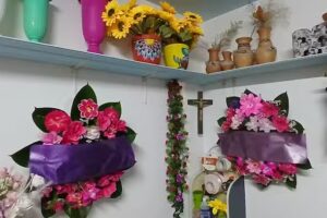 Florer&iacute;a Tartagal