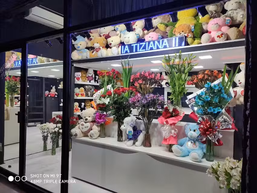 FLORER&Iacute;A Tiziana II