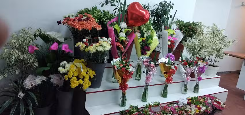 Florer&iacute;a Una Flor En Tu Ventana