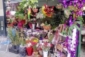 Florer&iacute;a Violetas de Jes&uacute;s(flores, plantas, sahumerios, tierra, macetas, fertilizantes, etc)