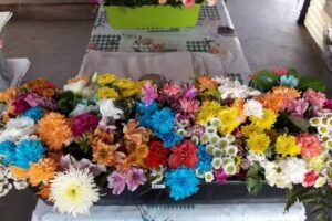 Floreria & Vivero La Edith