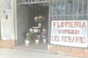 FLORERIA VIVERO :&rdquo;VIRGEN DEL ROSARIO&rdquo; Ofertas LIQUIDACION POR CIERRE