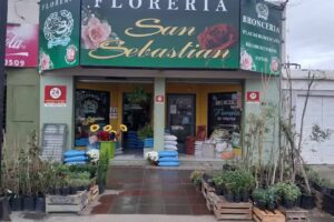 Floreria y bronceria SAN SEBASTIAN