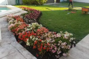 Floreria Y Vivero Rosita