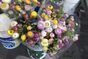 Flores Berisso M.A.G.A. Floreria