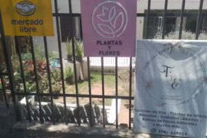 Flores del Edén floreria