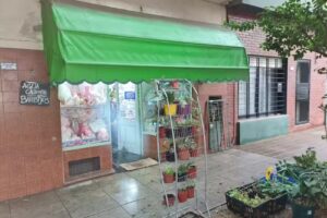 Flores Los 3 pimpollos