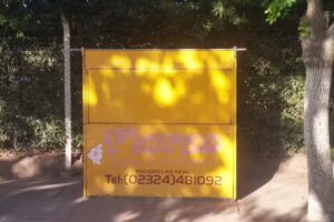 Flores &ldquo;Los 5 Primos&rdquo;