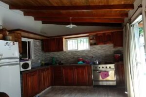 Flores &ndash; Plantas Ana Andrea