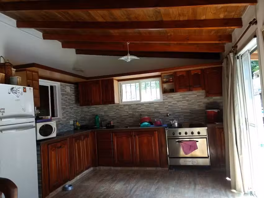 Flores &ndash; Plantas Ana Andrea