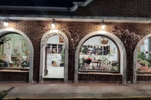 HANAMI Plantas y Flores