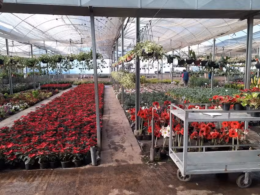 Jard&iacute;n Tucumano