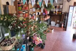 Jardines De Shimabukuro