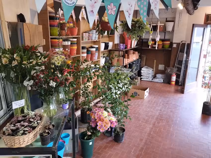 Jardines De Shimabukuro