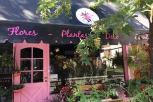 La casa de las Flores