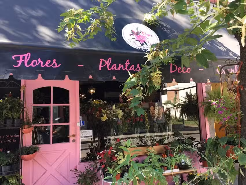 La casa de las Flores