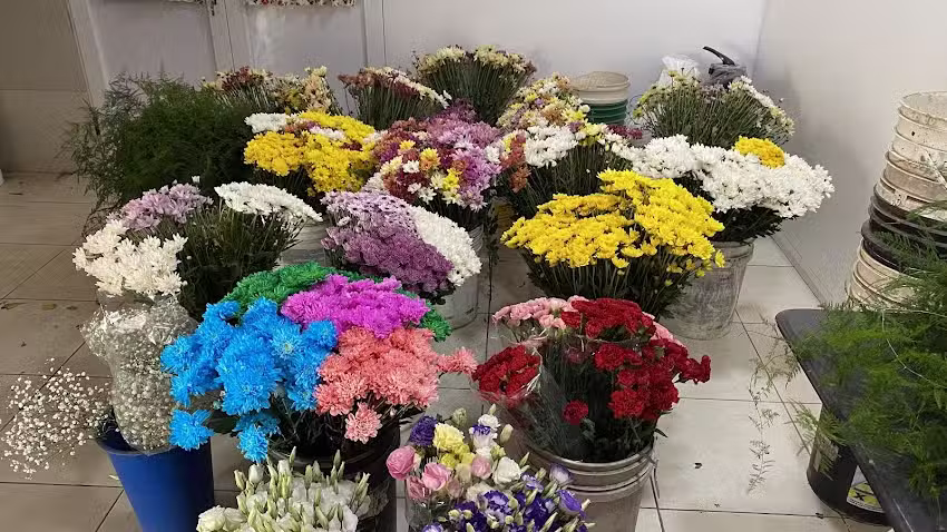 La Casa de las Flores