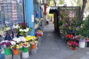 La esquina del Florista