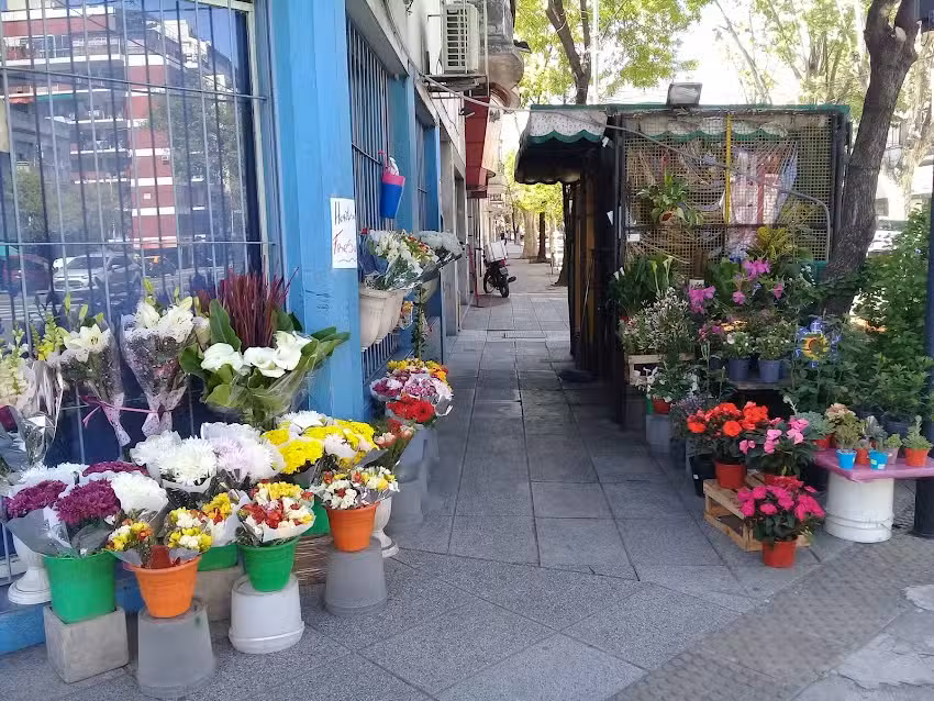 La esquina del Florista