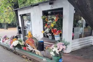 La Florería de Lolo