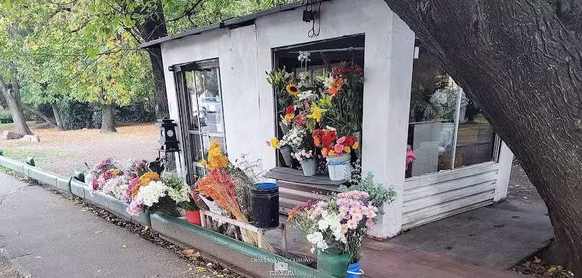 La Florer&iacute;a de Lolo