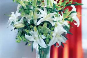 La Orqu&iacute;dea de Cecilia Camuyrano