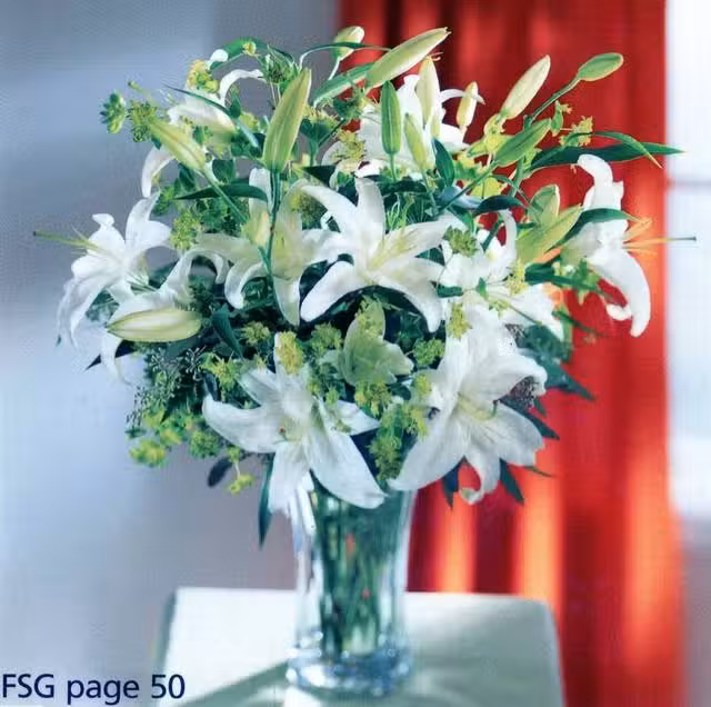 La Orqu&iacute;dea de Cecilia Camuyrano