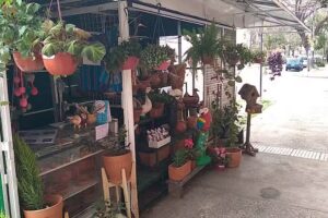 La pergola de Lan&uacute;s